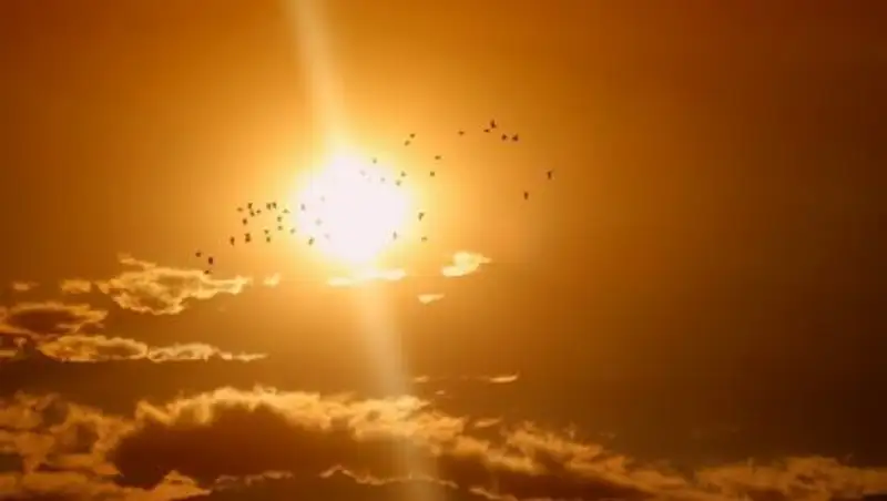 Жара до 45°С надвигается на Казахстан