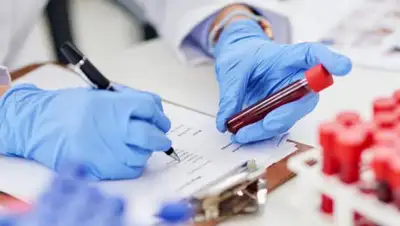 strategy2050.kz, фото - Новости Zakon.kz от 20.05.2020 16:27