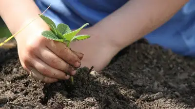 В Алматы расследуют кражу чернозема, фото - Новости Zakon.kz от 30.03.2023 15:02