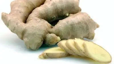 Zakon.kz, фото - Новости Zakon.kz от 25.02.2014 17:14