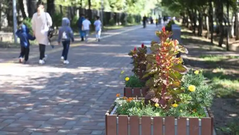 Перепись населения - какие проблемы могут возникнуть?