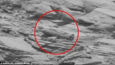 Zakon.kz, фото - Новости Zakon.kz от 03.03.2016 16:01