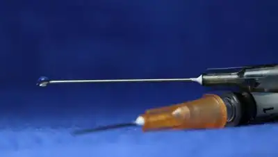 pixabay.com, фото - Новости Zakon.kz от 29.07.2021 17:05