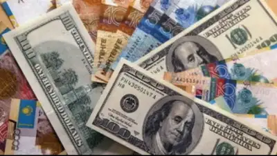 Zakon.kz, фото - Новости Zakon.kz от 05.11.2014 19:09