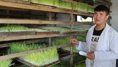 пресс-служба акима Алматинской области, фото - Новости Zakon.kz от 13.08.2018 10:10