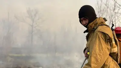 В Уральске горит роща, фото - Новости Zakon.kz от 21.04.2023 02:23