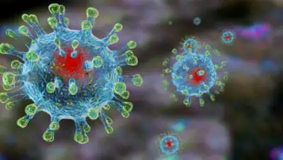 24tv.ua, фото - Новости Zakon.kz от 16.05.2020 09:36