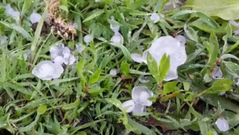 В Казахстане на выходные снова прогнозируют дожди, грозы, на юге град