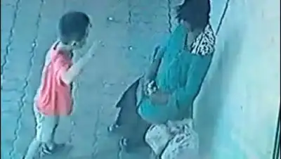 кадр видео, фото - Новости Zakon.kz от 07.08.2018 14:45