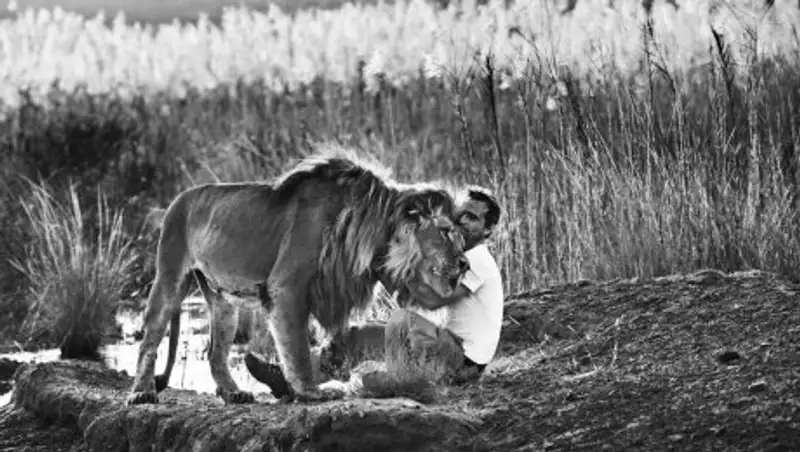 Дикие встречи фотографа Дэвида Ярроу