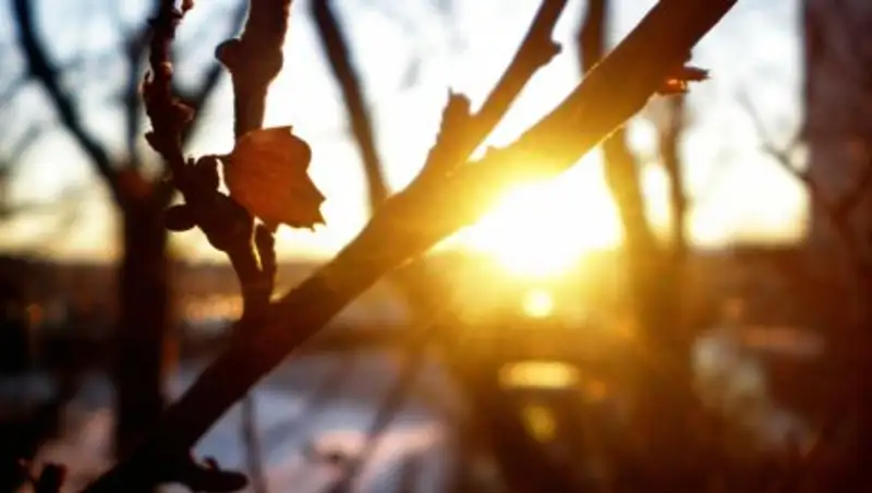 Суббота в Казахстане ожидается без осадков