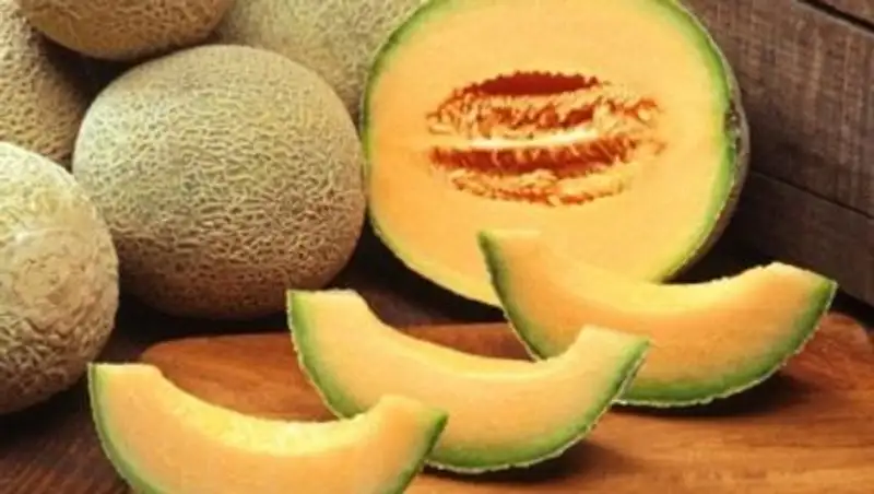 Кызылординские дыни не вывозят в другие регионы Казахстана из-за карантина