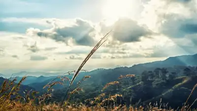 pexels.com, фото - Новости Zakon.kz от 27.05.2019 10:16