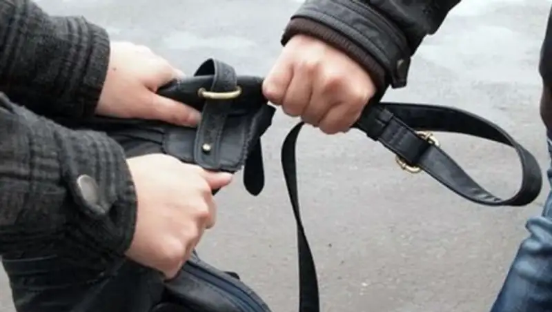 В Алматинской области задержали преступников, ограбивших женщину после продажи авто