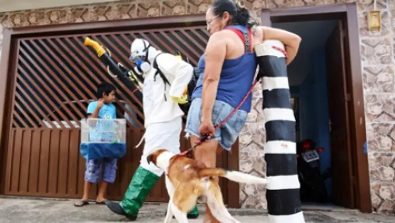 В чемпионате Бразилии разразилась эпидемия лихорадки денге