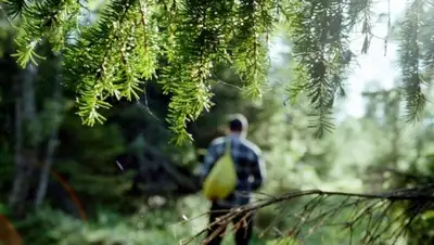 Zakon.kz, фото - Новости Zakon.kz от 10.08.2015 16:32