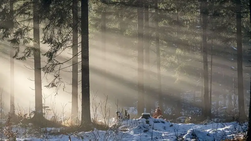 Метель, туман и ветер ожидаются в Астане и шести областях Казахстана в четверг