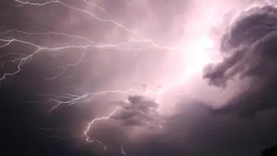 Pixabay, фото - Новости Zakon.kz от 13.09.2020 10:43