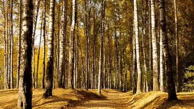 Теплую погоду обещают жителям Казахстана, фото - Новости Zakon.kz от 06.10.2022 16:08