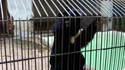 Zakon.kz, фото - Новости Zakon.kz от 10.07.2017 16:35