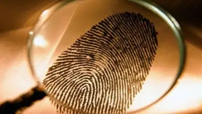 Zakon.kz, фото - Новости Zakon.kz от 05.01.2017 17:23