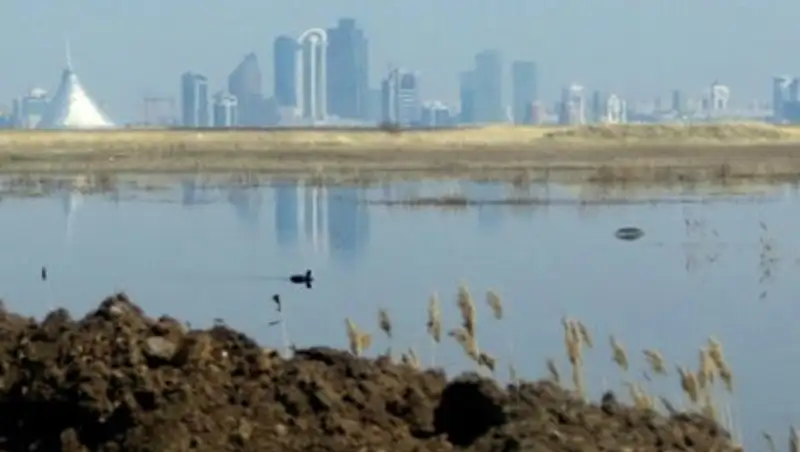 Власти Астаны рассказали о ходе очистки зловонного Талдыколя