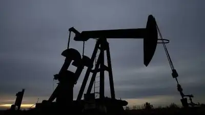 ЕРА, фото - Новости Zakon.kz от 09.01.2021 06:01