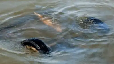 Zakon.kz, фото - Новости Zakon.kz от 19.10.2013 16:46