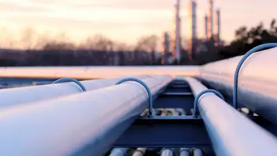 inform.kz, фото - Новости Zakon.kz от 03.08.2020 21:33