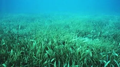 Zakon.kz, фото - Новости Zakon.kz от 17.08.2017 16:45