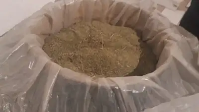 tumba.kz, фото - Новости Zakon.kz от 09.11.2019 10:36