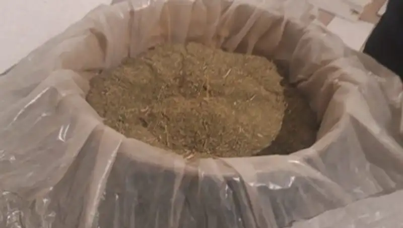 Бочку с марихуаной обнаружили полицейские Актау