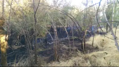 Zakon.kz, фото - Новости Zakon.kz от 15.07.2015 01:23