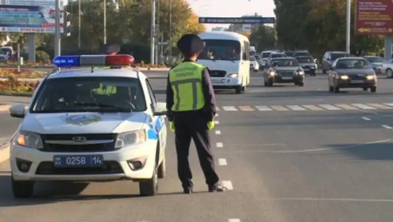 В Павлодарской области ищут животных с помощью беспилотников