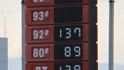 Zakon.kz, фото - Новости Zakon.kz от 12.01.2017 22:53