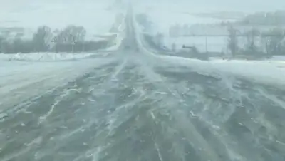 Zakon.kz, фото - Новости Zakon.kz от 27.02.2016 06:40