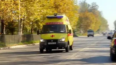 © РИА Новости / Мария Крицкая, фото - Новости Zakon.kz от 18.10.2018 08:08