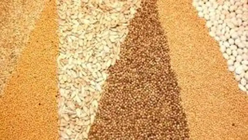 В Казахстане в 2013 году собрано более 18 млн. тонн зерновых и бобовых культур