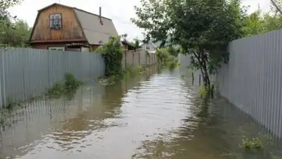 Zakon.kz, фото - Новости Zakon.kz от 25.06.2016 00:29