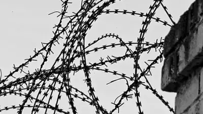 Regnum, фото - Новости Zakon.kz от 11.11.2018 12:48