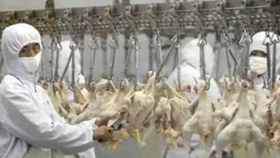 Zakon.kz, фото - Новости Zakon.kz от 14.01.2015 15:32