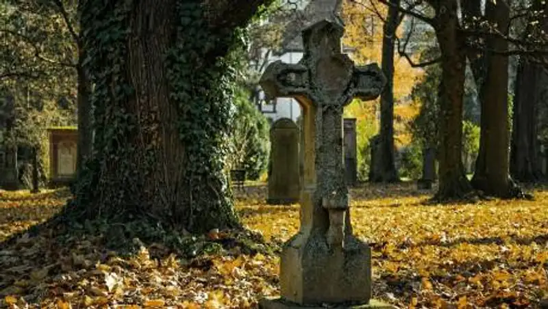 В Бразилии выкапывают тела из могил, чтобы освободить места из-за COVID-19