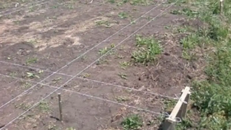 Жители одного из жамбылских сел разом остались без земельных участков