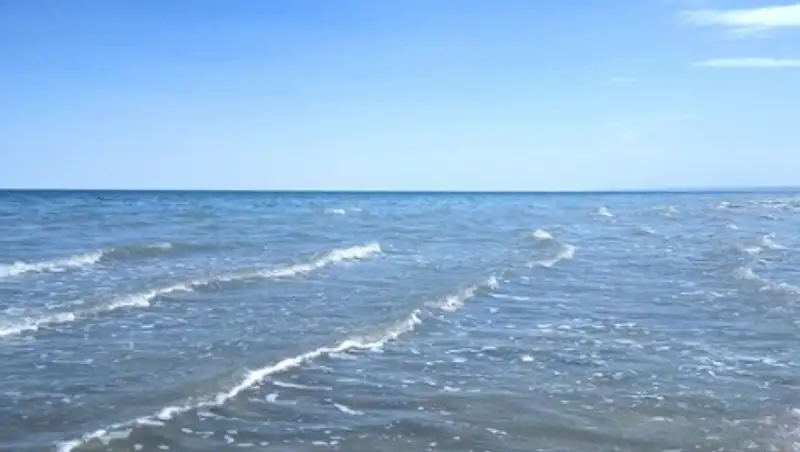 На высохшей части Арала нашли пресную воду