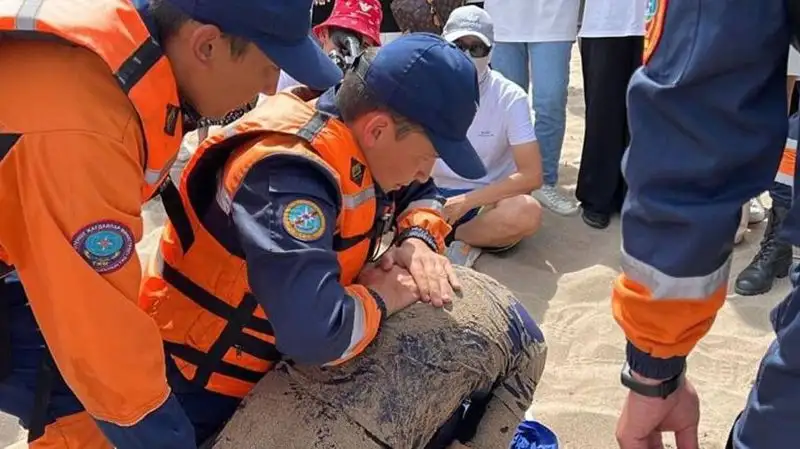 Шымкентских детей бесплатно учат плавать