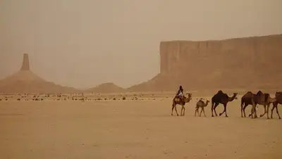 Экология климат, фото - Новости Zakon.kz от 15.02.2022 08:33