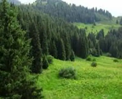 Zakon.kz, фото - Новости Zakon.kz от 14.08.2012 18:13