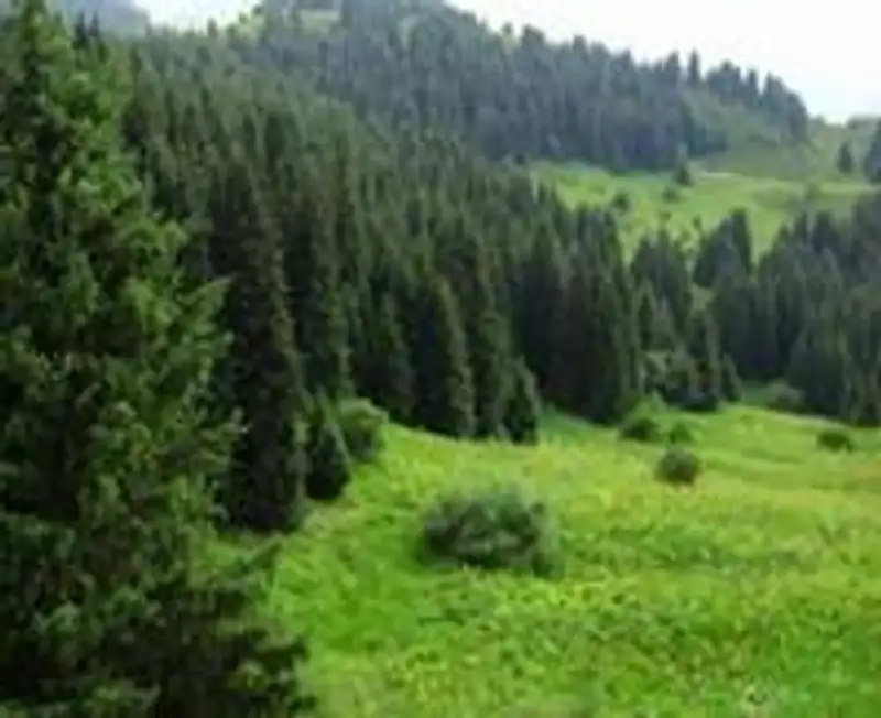 Установлены личности пятерых погибших в Аксайском ущелье Алматинской области