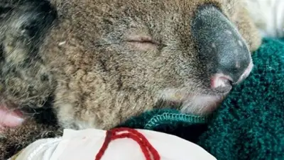 Zakon.kz, фото - Новости Zakon.kz от 12.01.2015 22:33