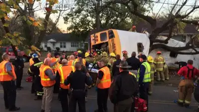 Zakon.kz, фото - Новости Zakon.kz от 22.11.2016 13:33